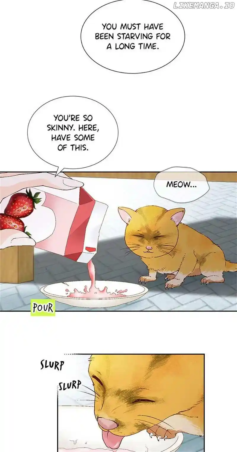 Flavors Of Reincarnation Chapter 137