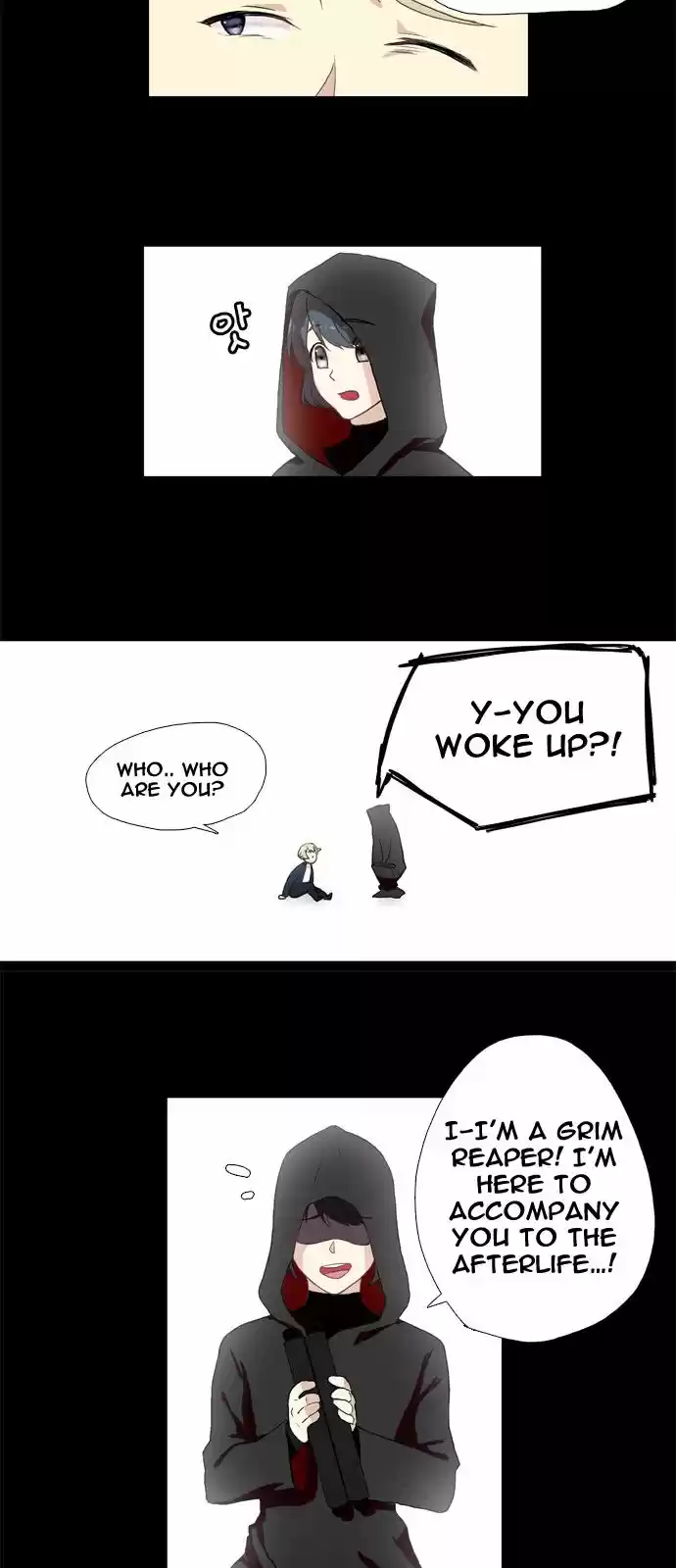 Flying in the Darkness 1