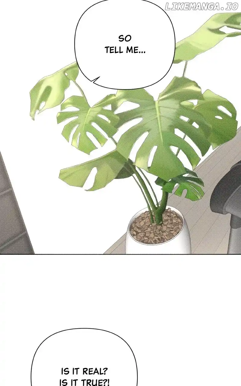 Fox Play Chapter 105