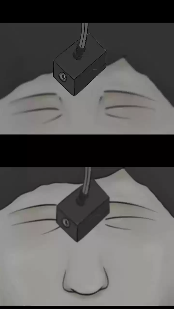 Friday: Forbidden Tales 14