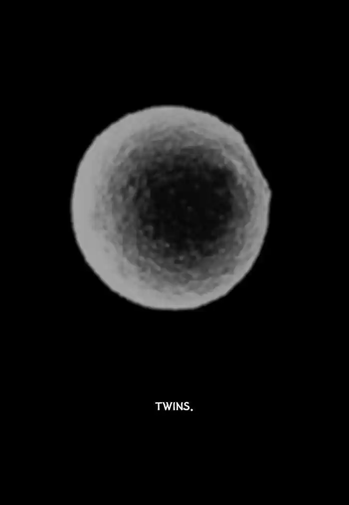 Friday: Forbidden Tales 26