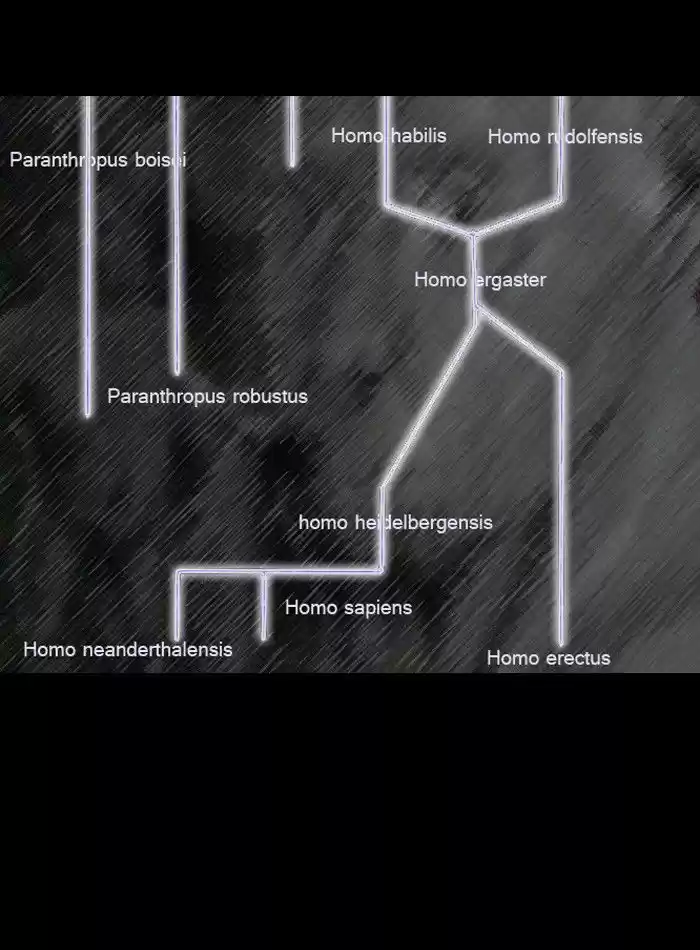 Friday: Forbidden Tales 33