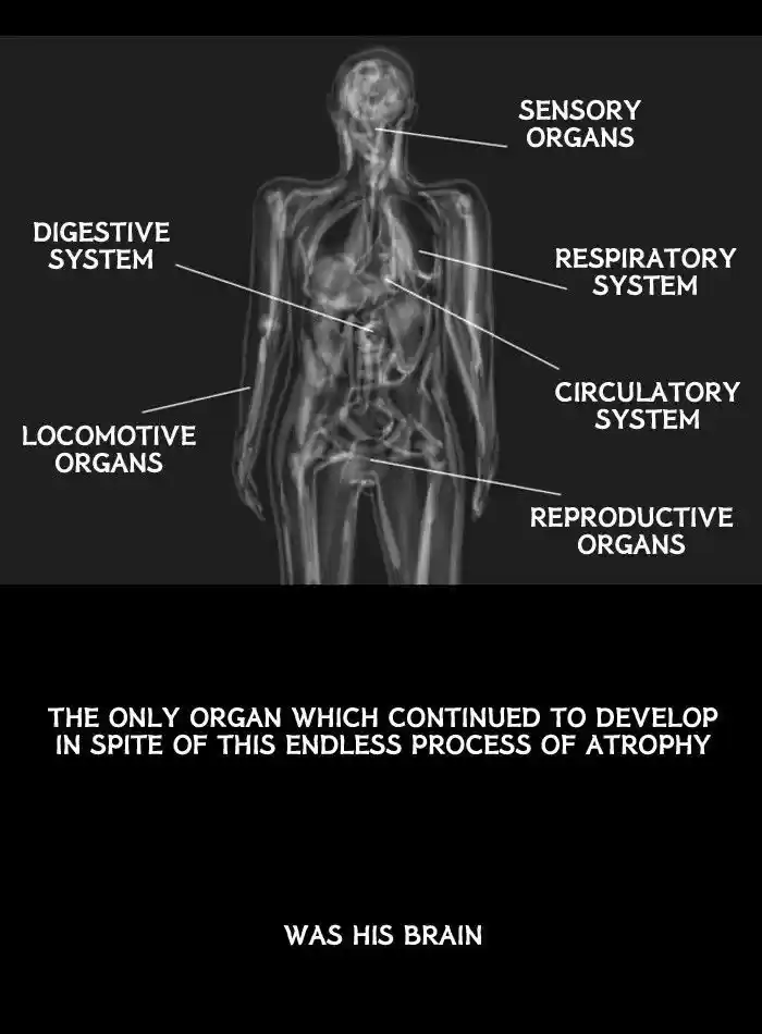 Friday: Forbidden Tales 35