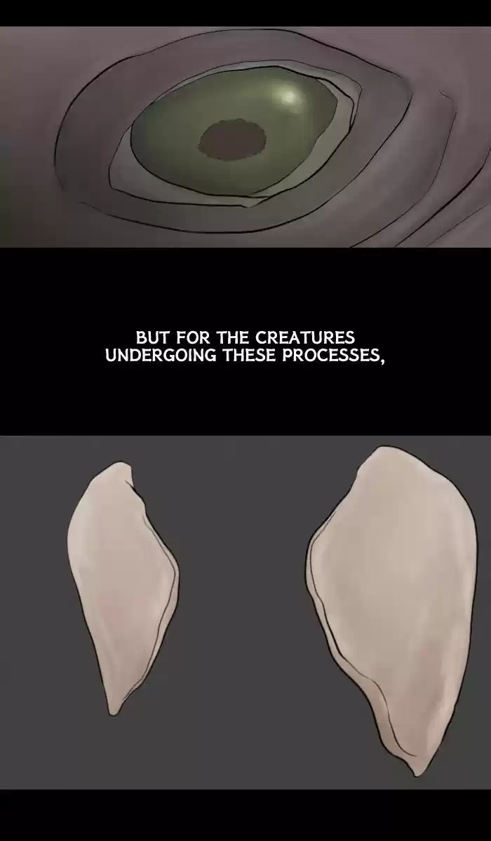 Friday: Forbidden Tales 35