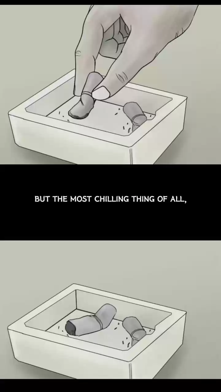 Friday: Forbidden Tales 43