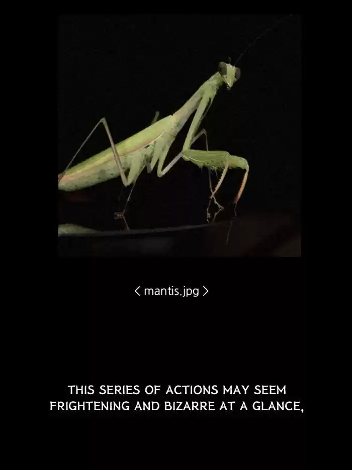 Friday: Forbidden Tales 80