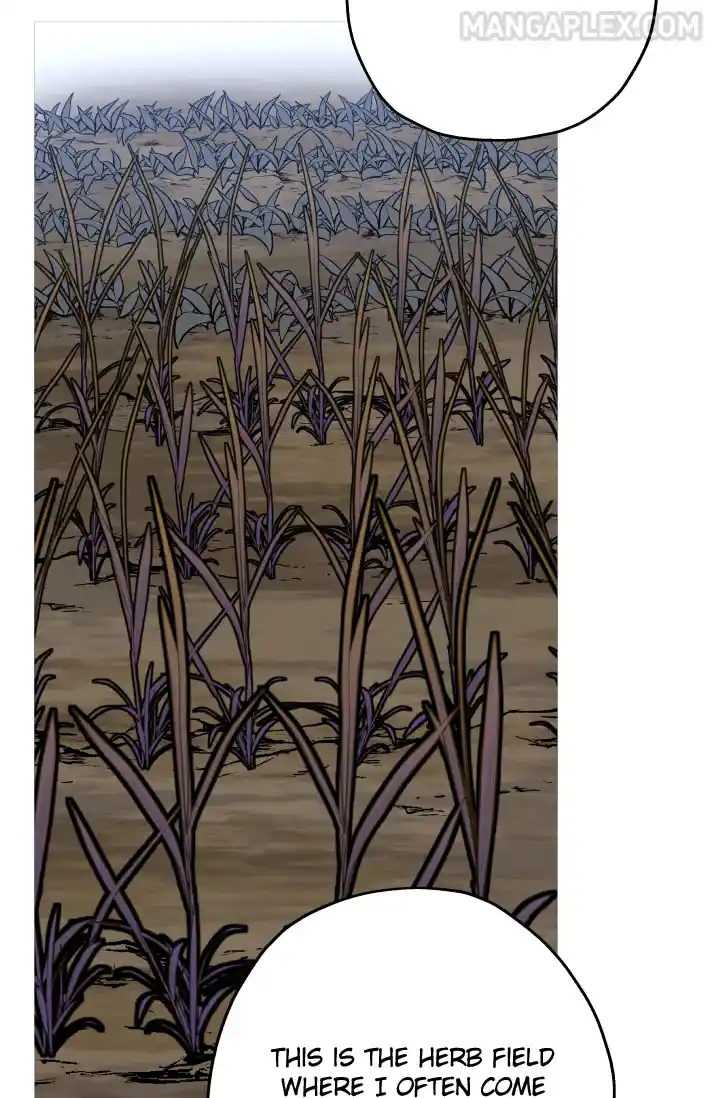 From the lowest ranked knight to monarch Vol.0 Ch.51