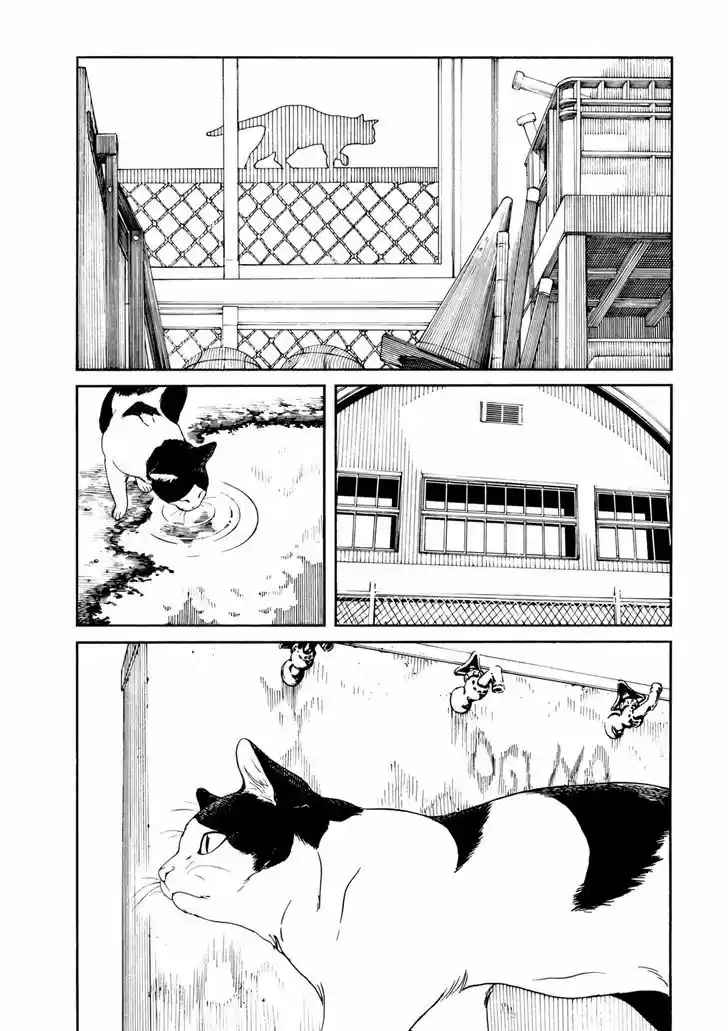 Fujiyama-san wa Shishunki 67