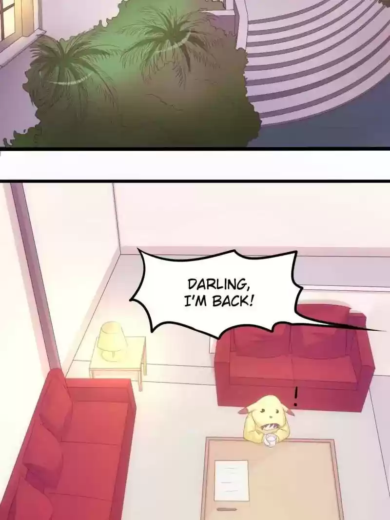 FULL MARKS HIDDEN MARRIAGE: PICK UP A SON, GET A FREE HUSBAND Chapter 40 [END]