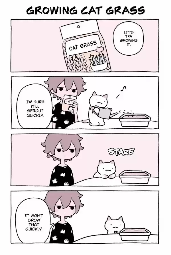 Fushigi Neko no Kyuu-chan 50