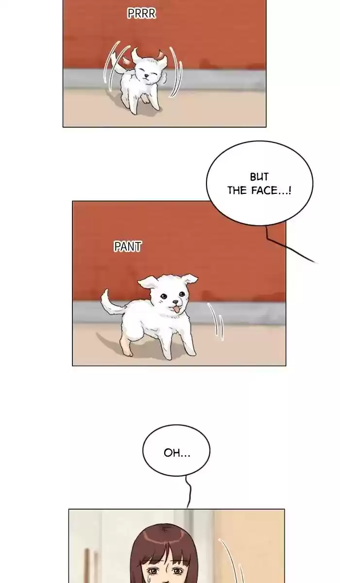 Ghost Wife Chapter 100