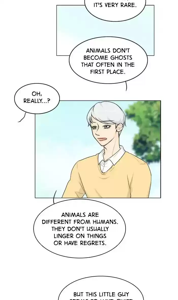 Ghost Wife Chapter 101