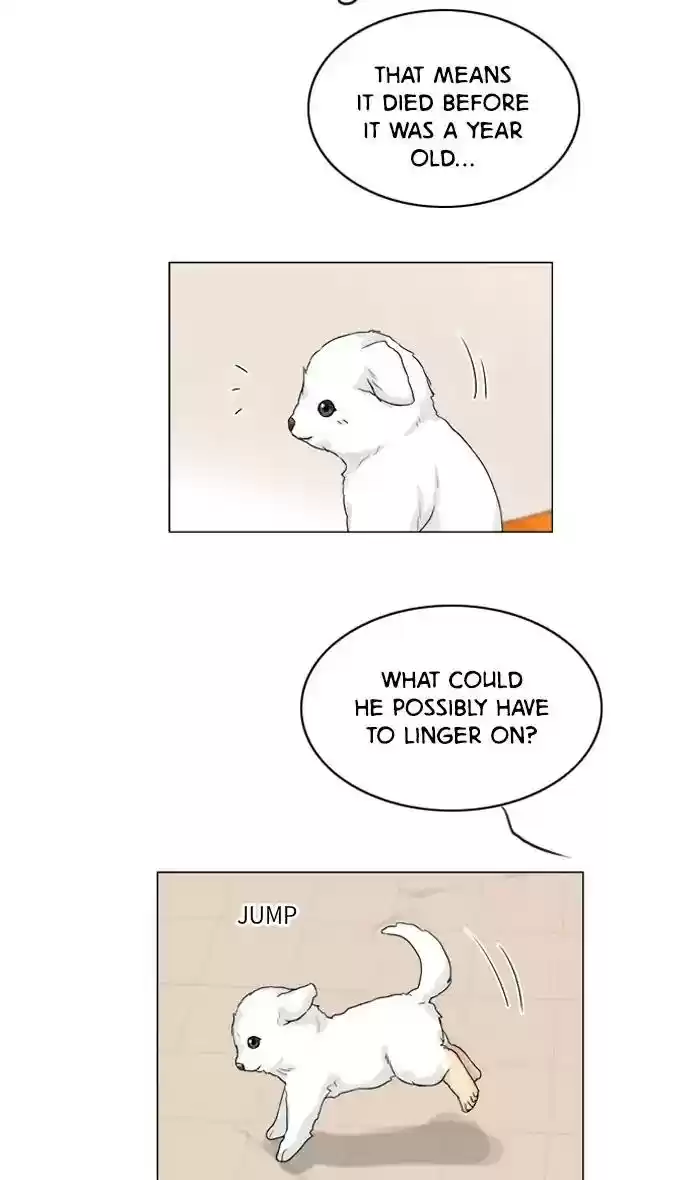 Ghost Wife Chapter 101