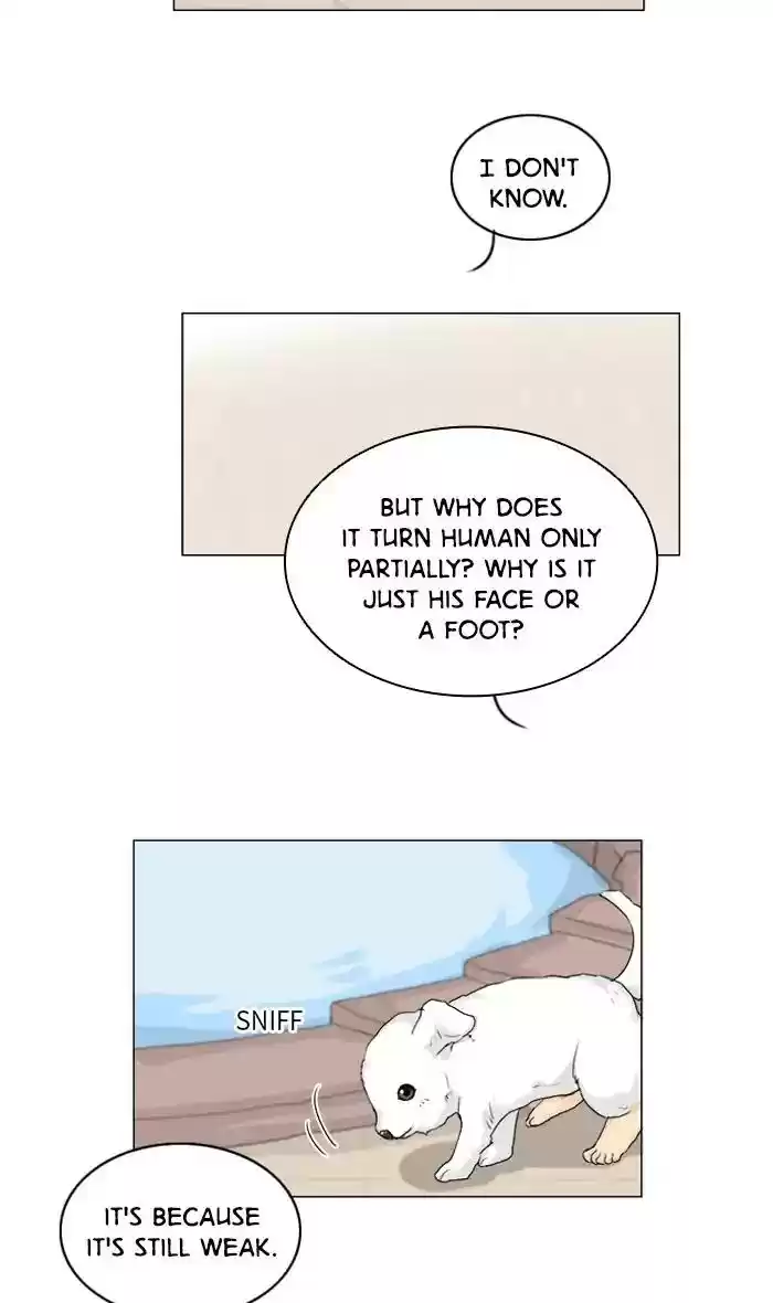 Ghost Wife Chapter 101