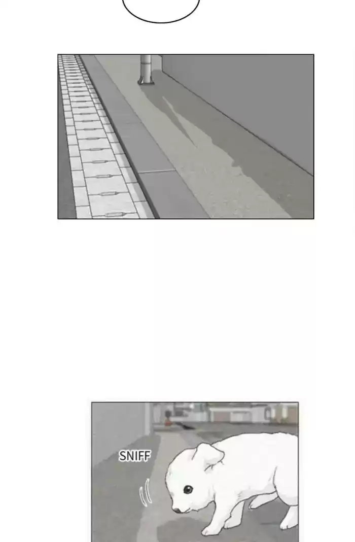 Ghost Wife Chapter 103