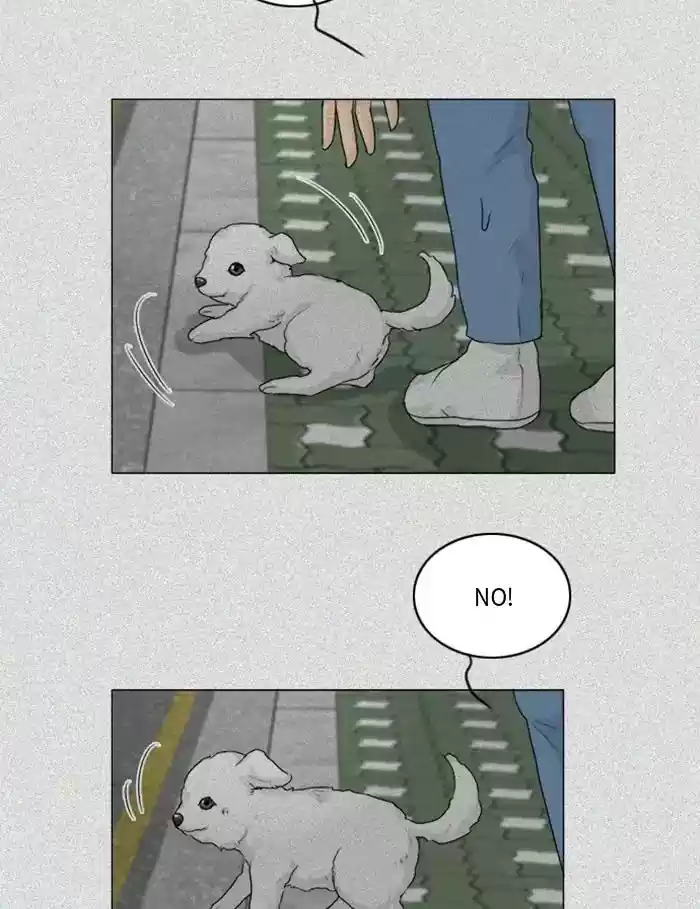 Ghost Wife Chapter 103