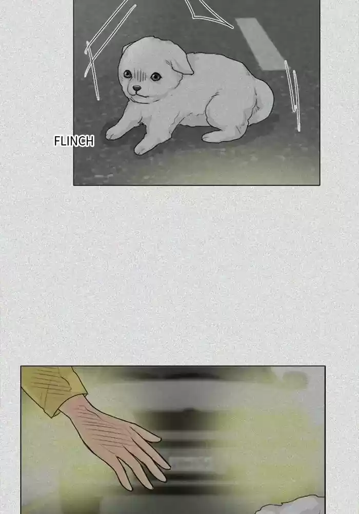 Ghost Wife Chapter 103