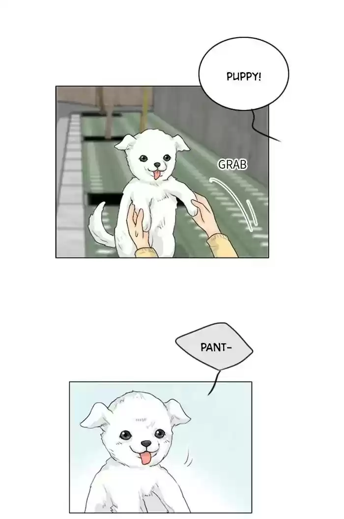 Ghost Wife Chapter 105