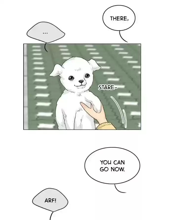 Ghost Wife Chapter 105