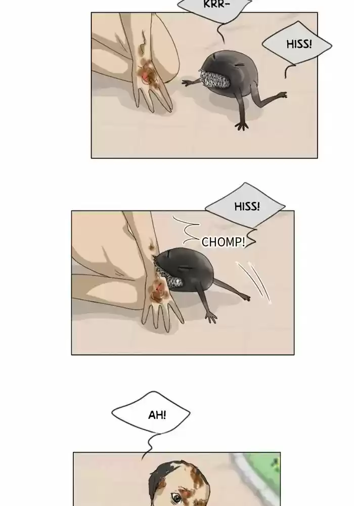 Ghost Wife Chapter 73