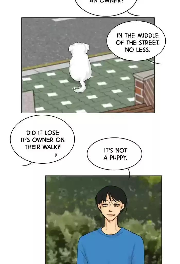 Ghost Wife Chapter 99