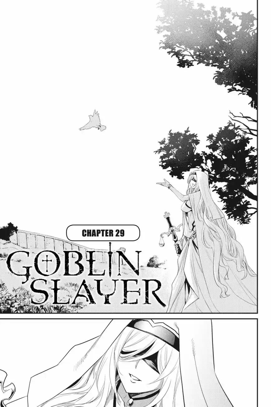 Goblin Slayer 29