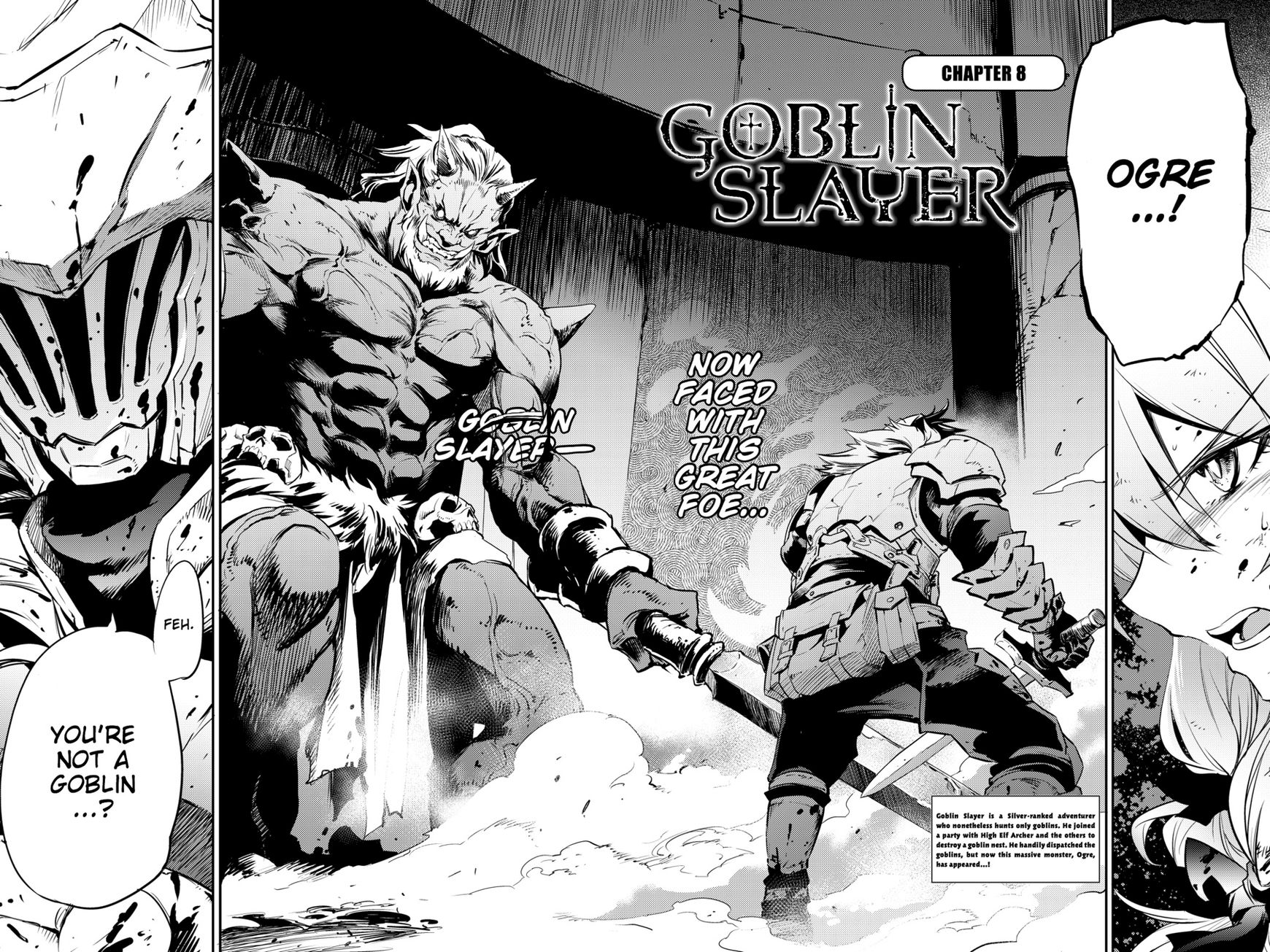 Goblin Slayer 8