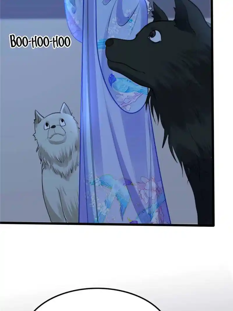 God of War, Crazy Princess Chapter 227