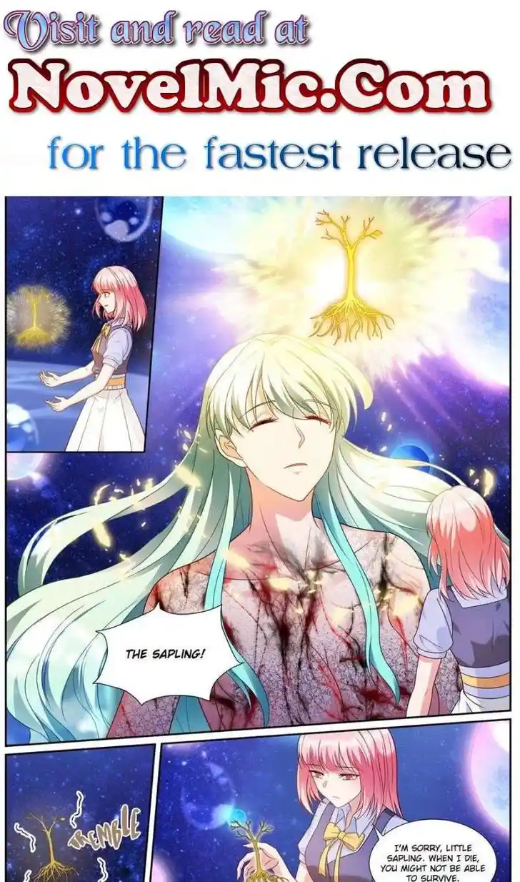 Goddess Creation System Ch.510