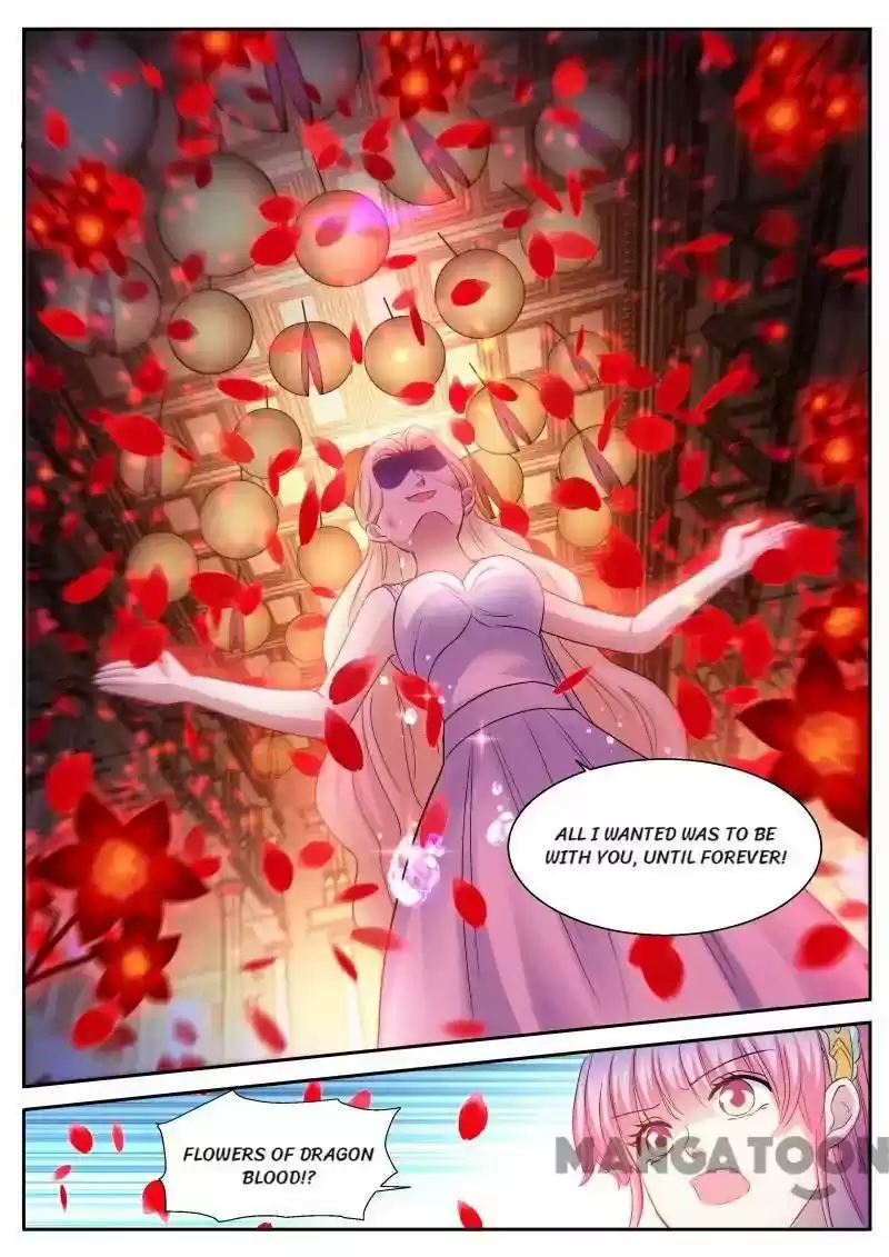 Goddess Creation System Chapter 275