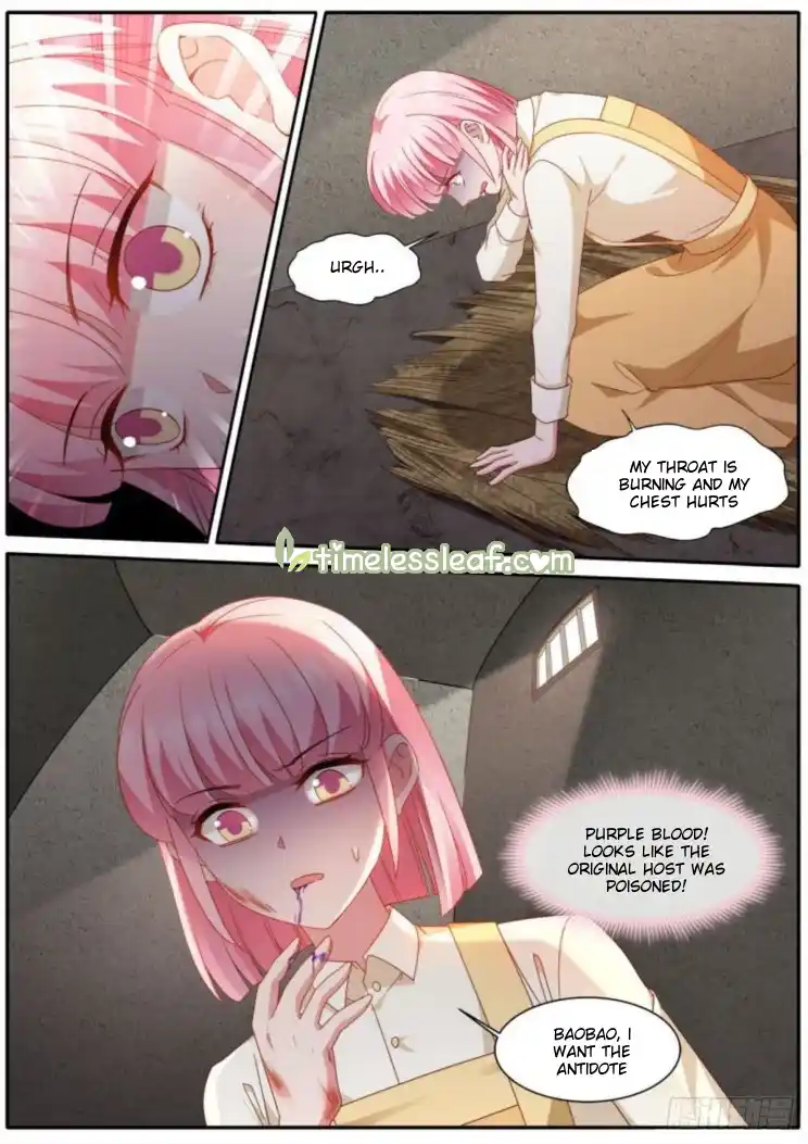 Goddess Creation System Chapter 476