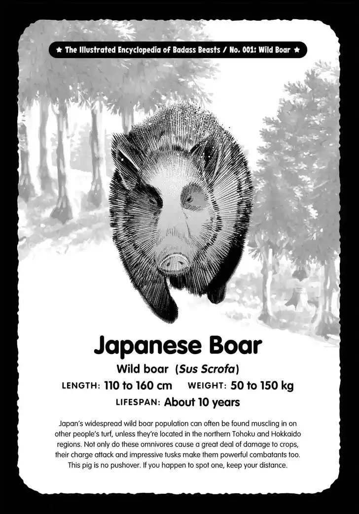 Gokushufudou: The Way of the House Husband Ch.117.5