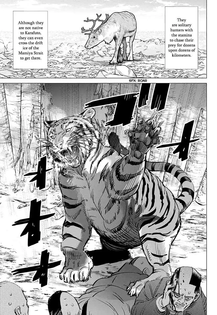 Golden Kamuy Ch. 181 Amur Tiger