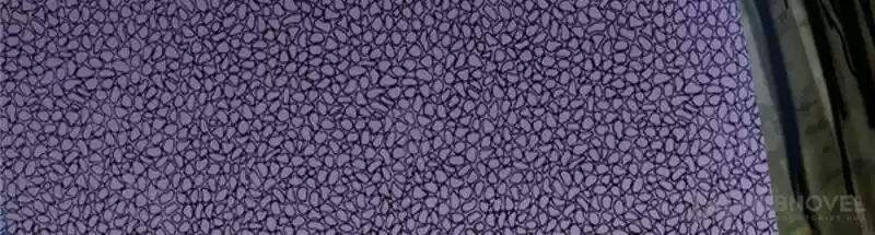 Good-for-Nothing Defies Common Sense: The Evil Emperor's Wild Consort (Novel) Ch.075