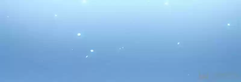 Good-for-Nothing Defies Common Sense: The Evil Emperor's Wild Consort (Novel) Ch.143