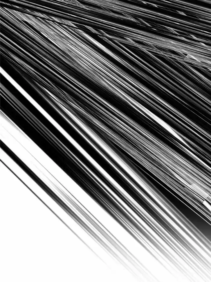 Good-for-Nothing Defies Common Sense: The Evil Emperor's Wild Consort (Novel) Ch.185