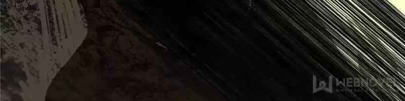 Good-for-Nothing Defies Common Sense: The Evil Emperor's Wild Consort (Novel) Ch.185