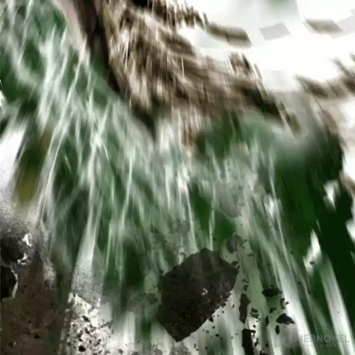 Good-for-Nothing Defies Common Sense: The Evil Emperor's Wild Consort (Novel) Ch.187