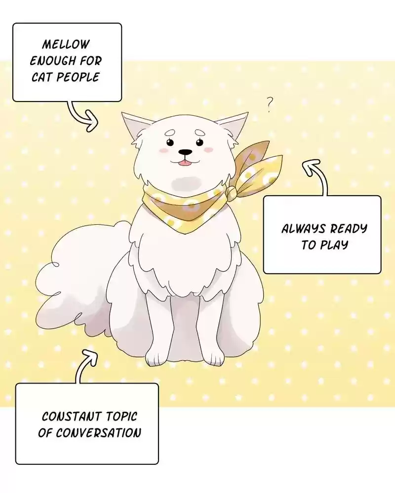 Gourmet Hound Chapter 100: Ep. 96: