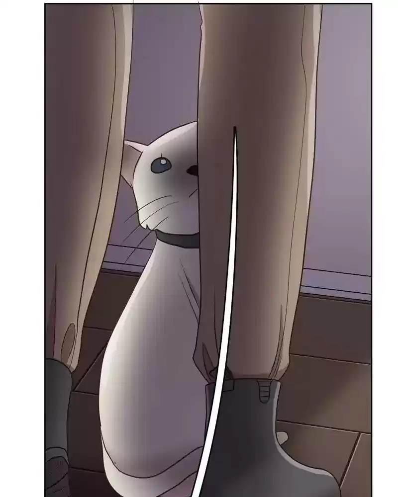 Gourmet Hound Chapter 141: Ep.137: