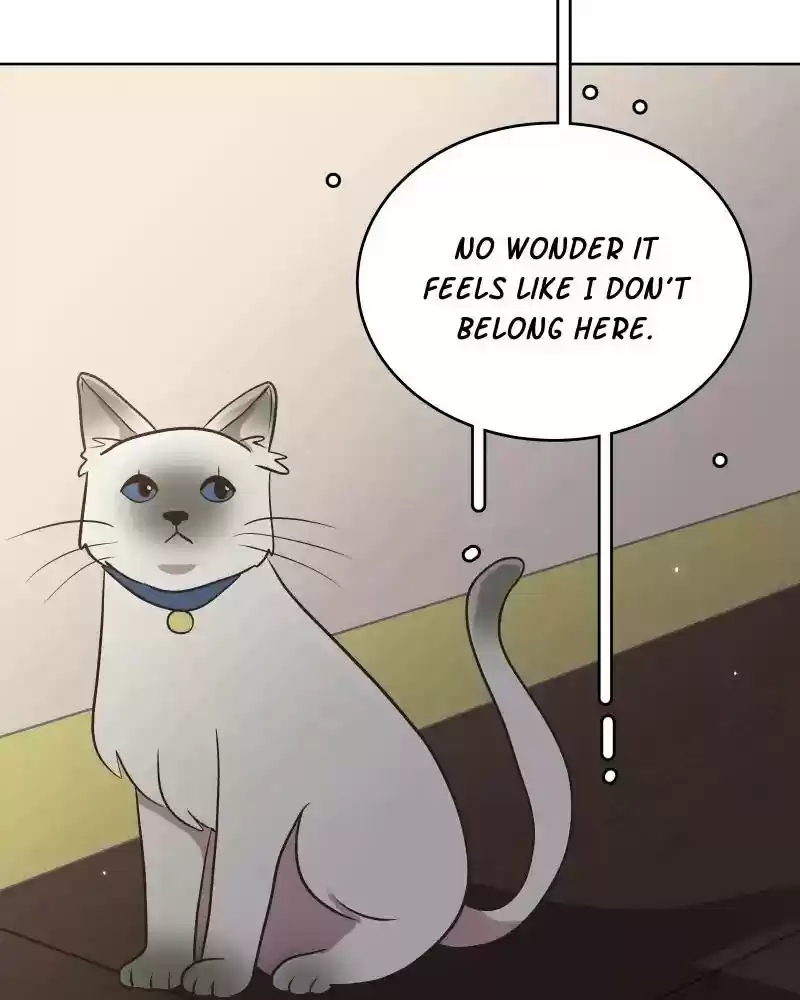 Gourmet Hound Chapter 147: Ep.143:
