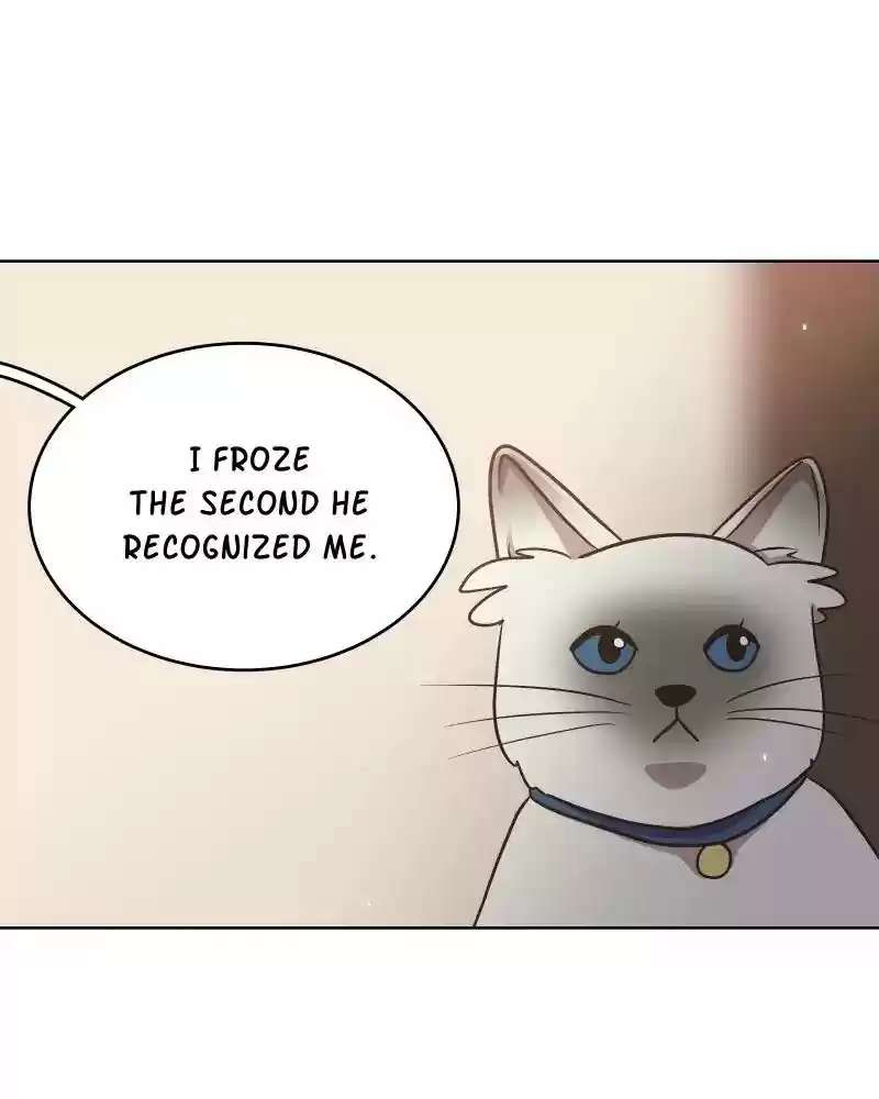 Gourmet Hound Chapter 147: Ep.143: