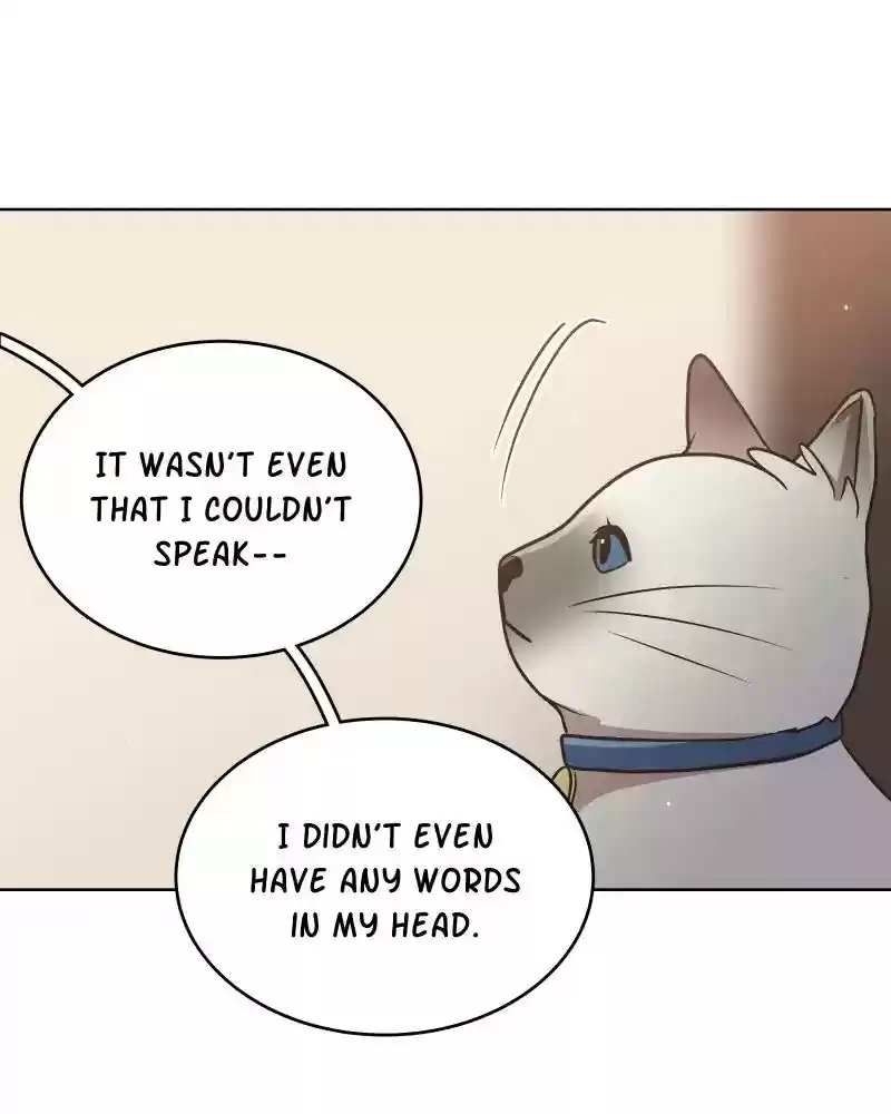 Gourmet Hound Chapter 147: Ep.143: