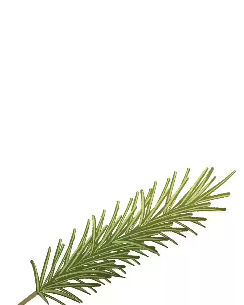 Gourmet Hound Chapter 160: Ep.156: