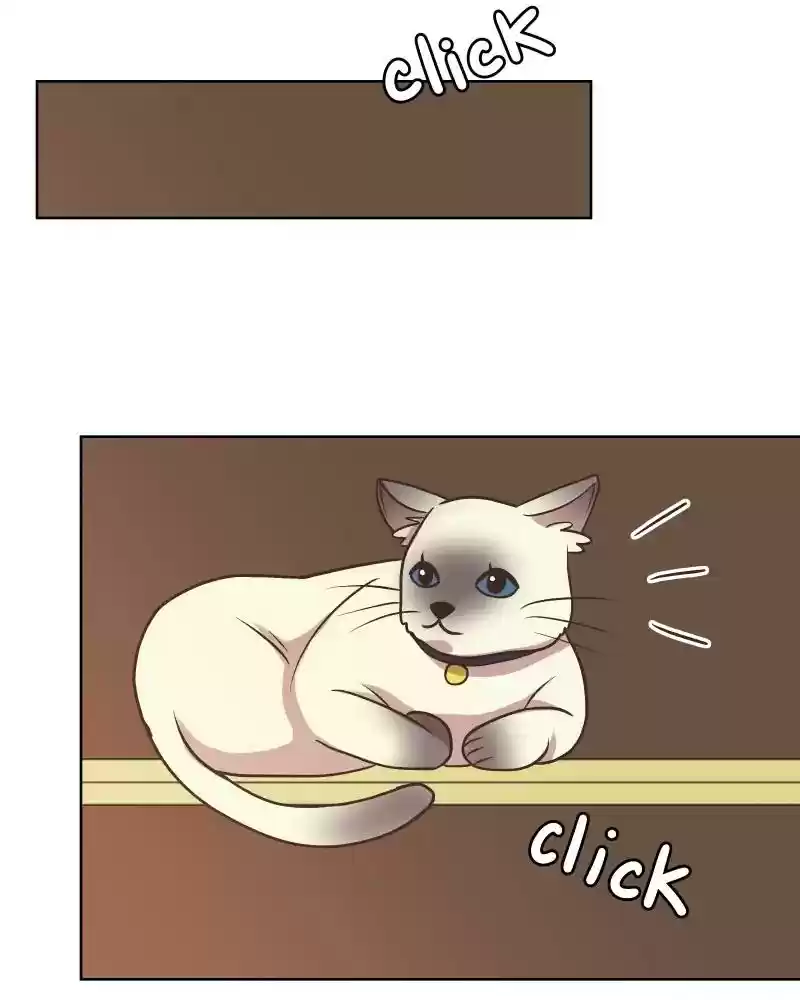 Gourmet Hound Chapter 161: Ep.157: