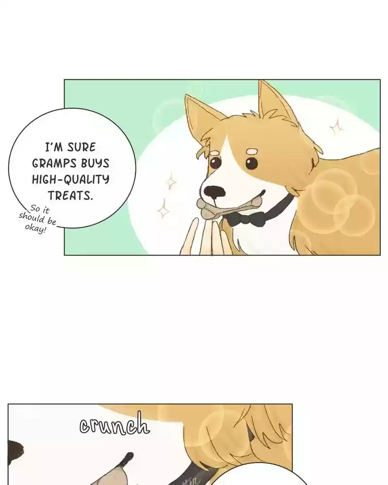 Gourmet Hound Chapter 19: Ep.19: