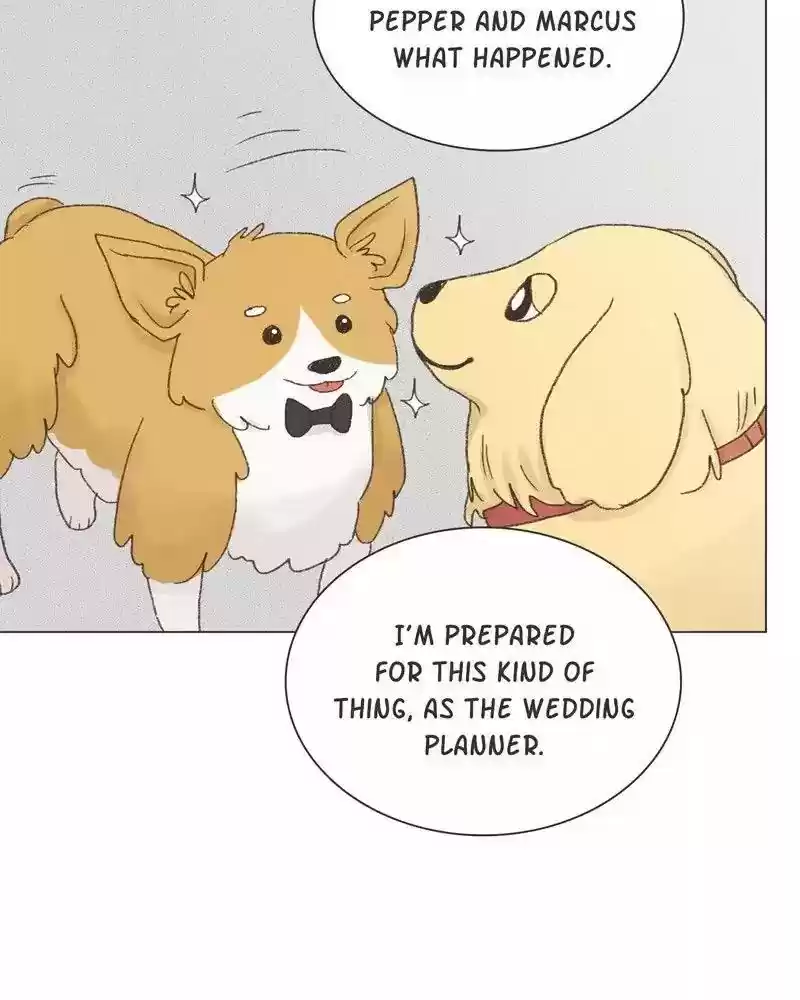 Gourmet Hound Chapter 30: Ep.30: