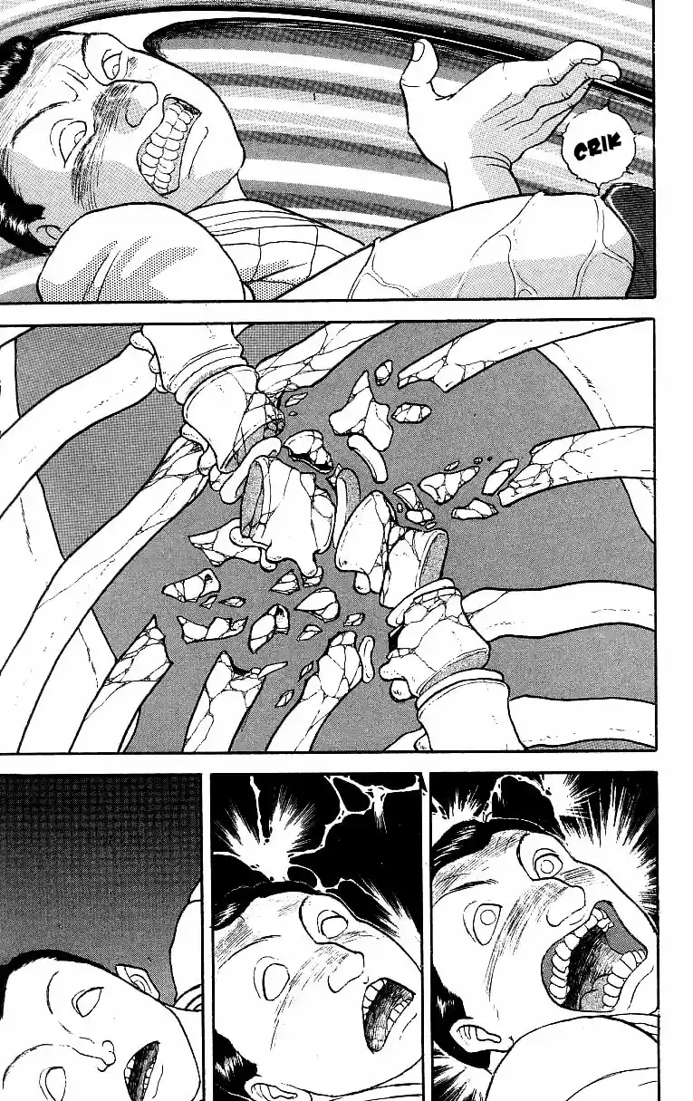 Grappler Baki Vol. 23 Ch. 201 once again, he became a martial artist