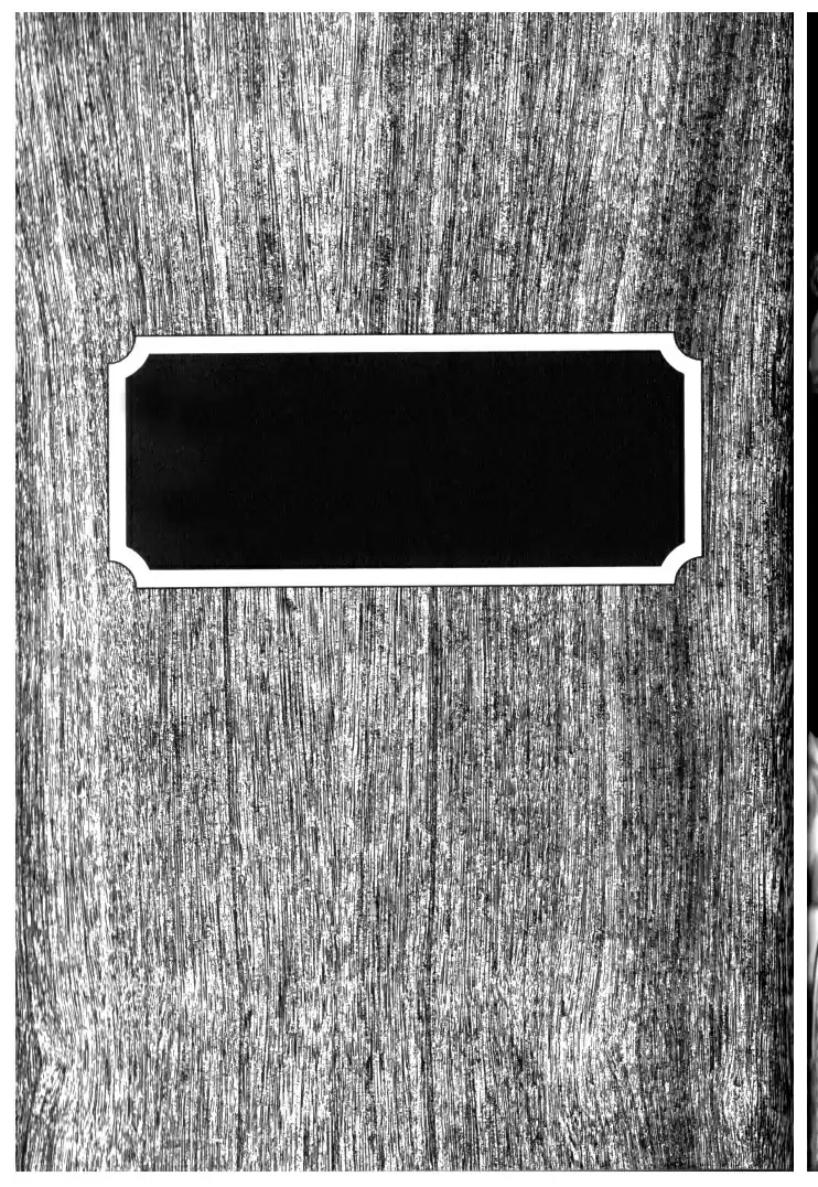 Guyver Vol. 20 Ch. 126