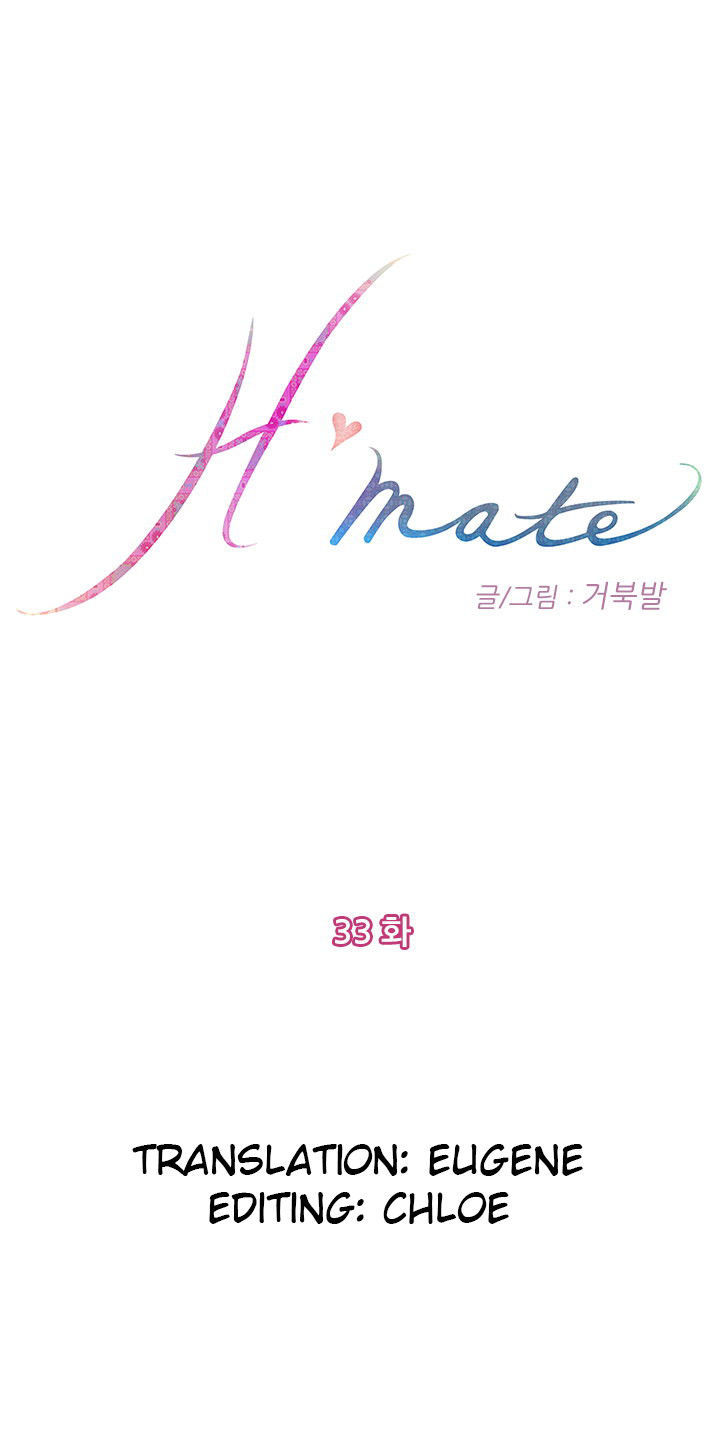 H-Mate 33
